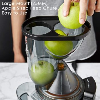 Las mejores licuadoras baratas para hacer zumo en el 2020 imagen 13 introducir frutas enteras en licuadora