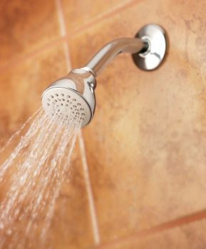 Calentadores eléctricos o gas imagen 9 ducha con agua caliente