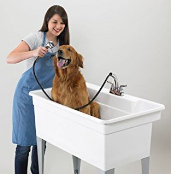 duchar al perro con agua caliente