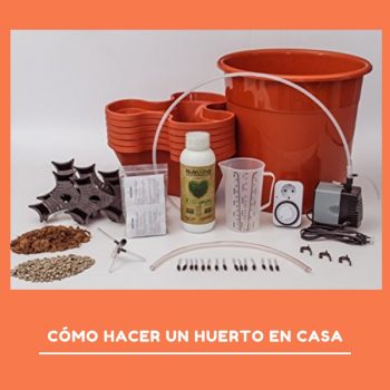 cómo crear un cultivo hidropónico casero