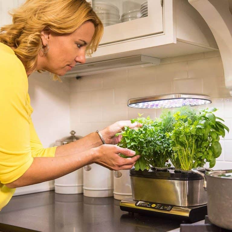 El mejor HUERTO HIDROPÓNICO para casa 【GUÍA 2021】