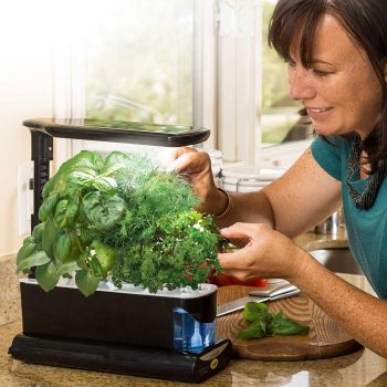 mujer feliz con su cultivo hidropónico de interior