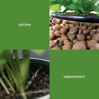 sistema de cultivo en hidroponía