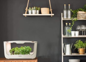 El mejor HUERTO HIDROPÓNICO para casa 【GUÍA 2021】