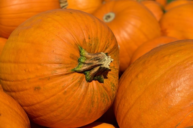 Crema de calabaza crujiente con el robot de cocina imagen 1 calabazas
