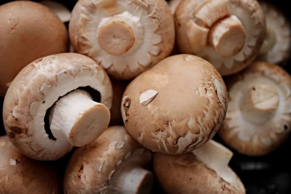 Champiñones al ajillo con el robot de cocina imagen 1 champiñones