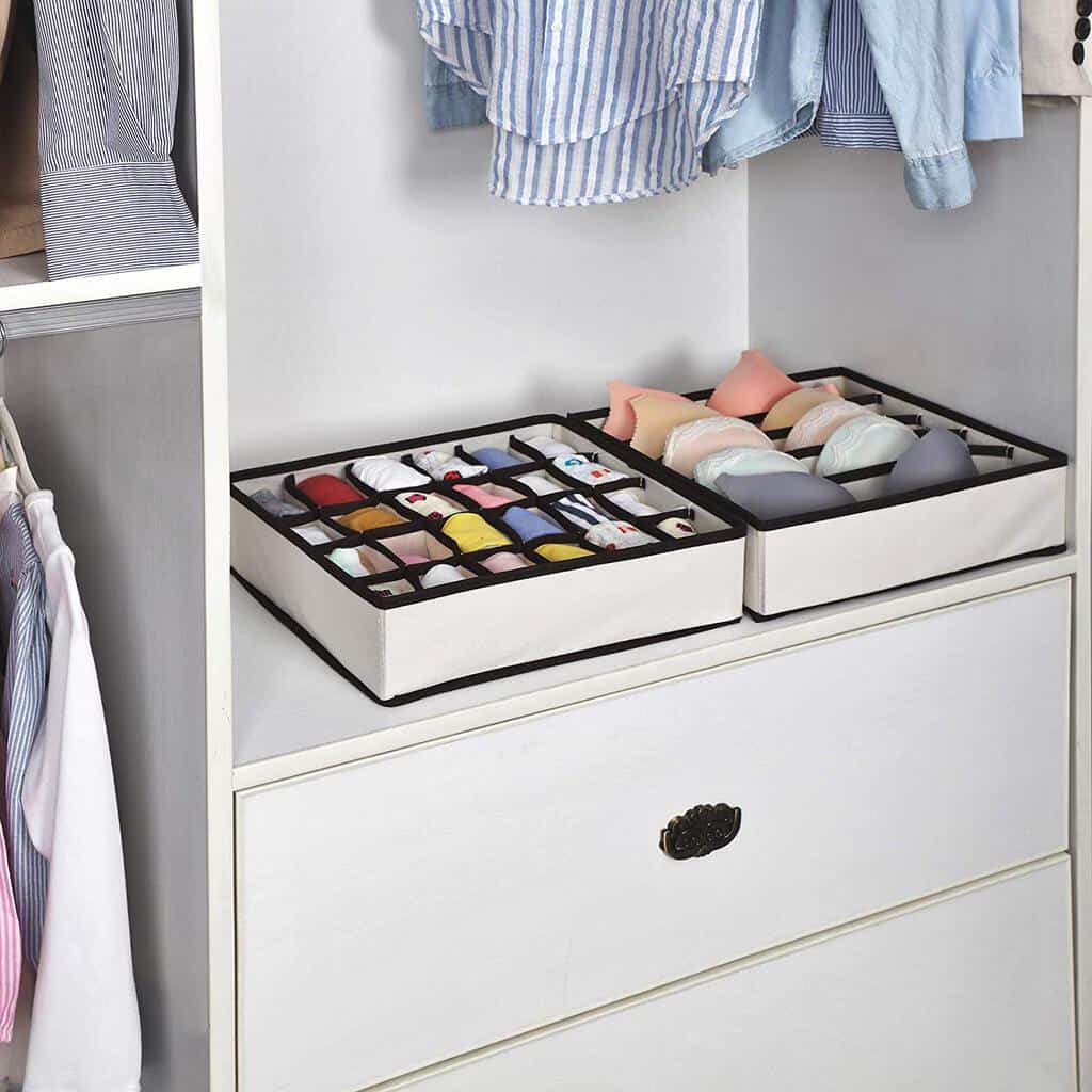 8 consejos para organizar el armario como un profesional imagen 7 organizador-de-ropa-interior