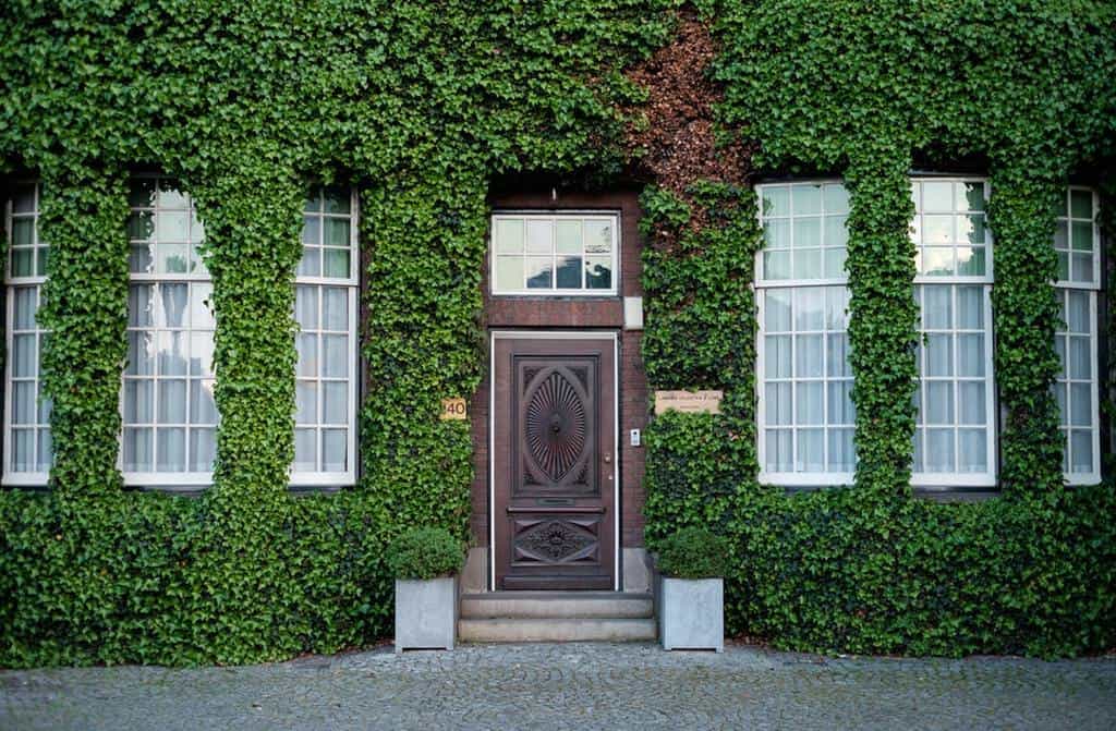 Conseils pour garder la maison au frais quand il fait chaud image 9 prenez-la-nature-à-votre-faveur