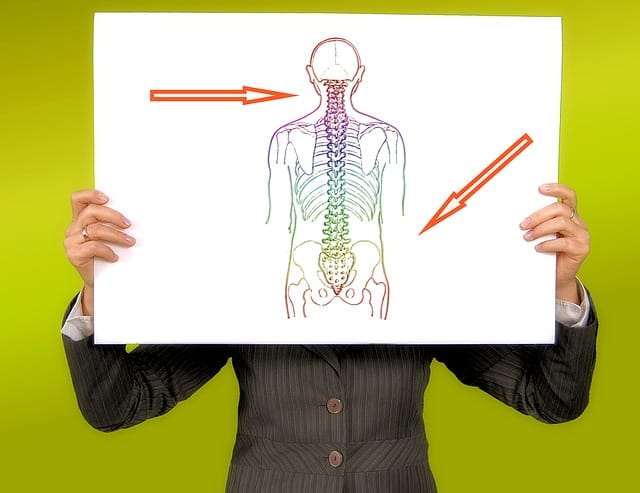 dibujo-de-la-columna-vertebral