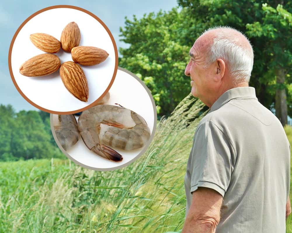 Qué alimentos debemos agregar a nuestra dieta a partir de los 50 años imagen 7 dieta-para-estimular-el-cerebro