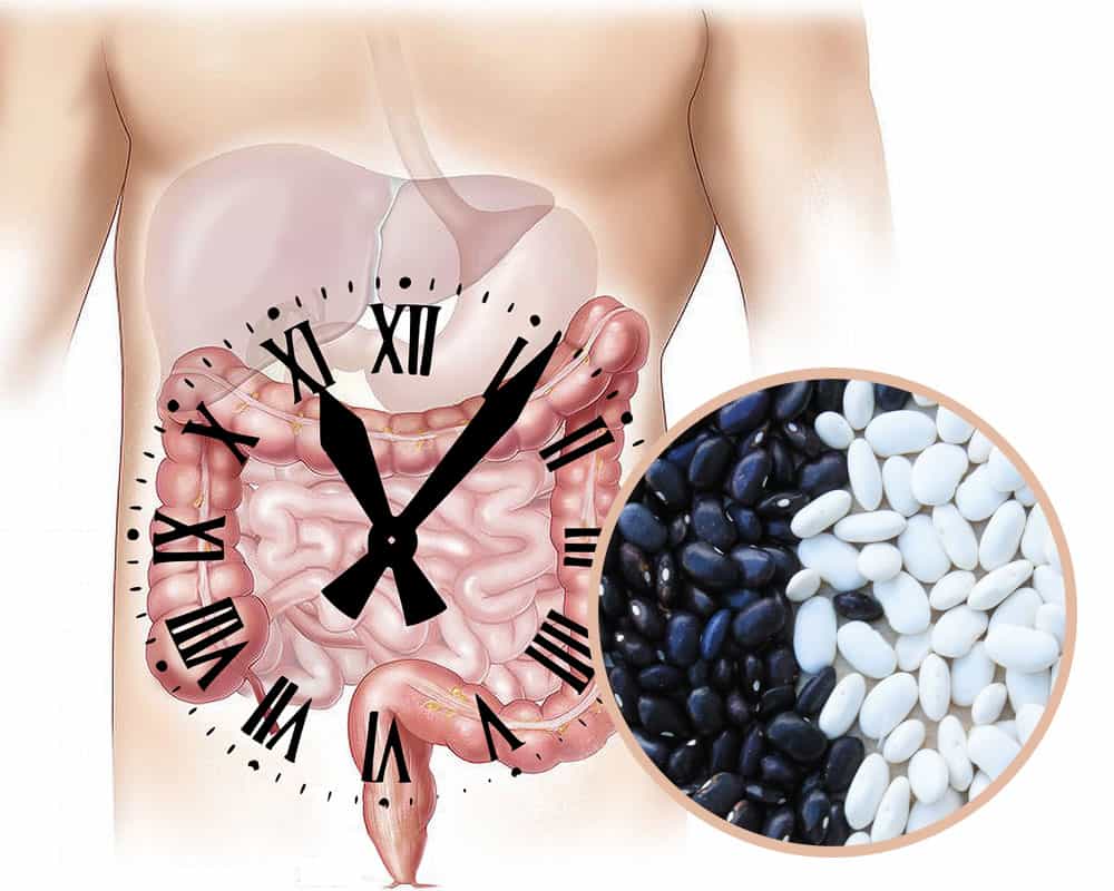 Qué alimentos debemos agregar a nuestra dieta a partir de los 50 años imagen 3 mejorar-transito-intestinal-en-la-dieta-a-partir-de-los-50-años