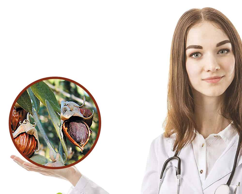 Aceite de jojoba para cuidar el contorno de ojos imagen 1 origen-del-aceite-de-jojoba-para-cuidar-el-contorno-de-ojos