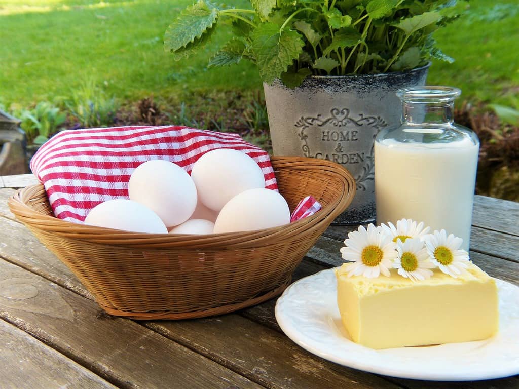 ¿Qué significa ser crudivegano? imagen 3 alimentos-derivados-de-animales