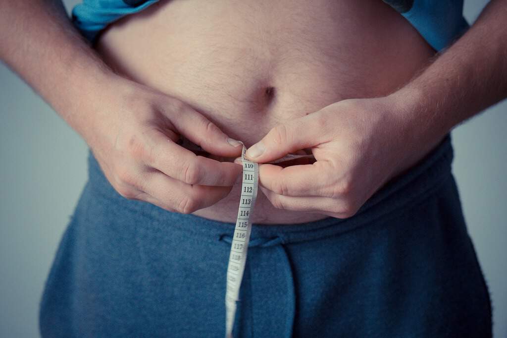 Las mejores freidoras sin aceite para una alimentación sana imagen 31 combatir la mala alimentación con una freidora sin aceite