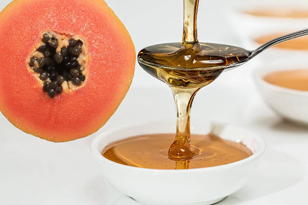 Cómo hidratar los labios de forma natural imagen 13 mascarilla-de-papaya-y-miel