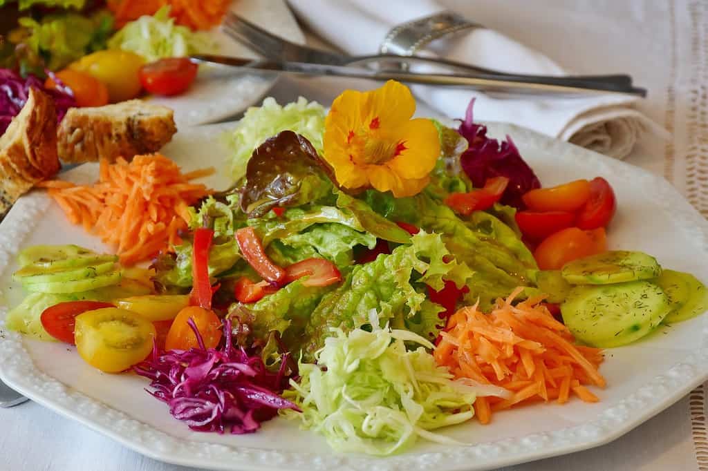 ¿Qué significa ser crudivegano? imagen 32 plato-de-ensalada