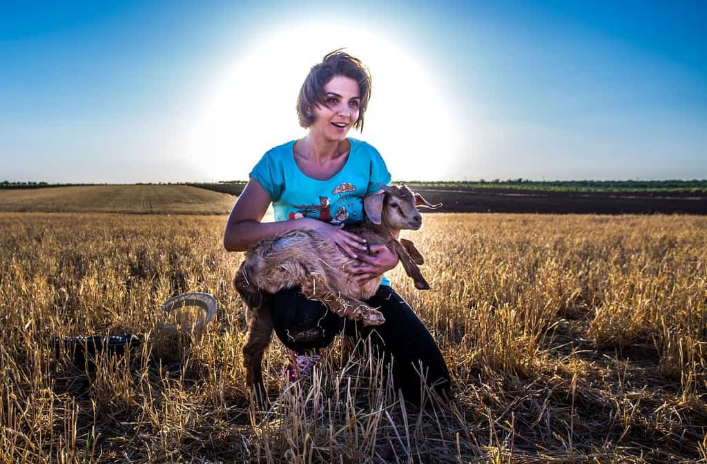 ¿Qué significa ser crudivegano? imagen 25 proteger-a-los-animales-siendo-crudivegano