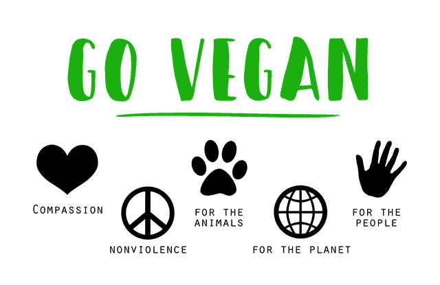 ¿Qué significa ser crudivegano? imagen 5 ser-vegano-o-crudivegano