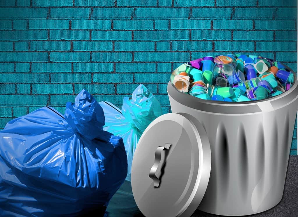 18 errores que hacen que tu casa sea un lugar insalubre imagen 23 basura-en-bolsas-y-cubos-de-basura