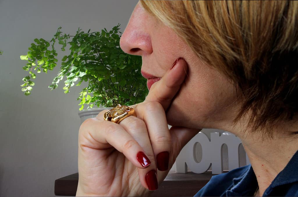 Consejos para mantener la casa libre de polen imagen 7 las-plantas-que-producen-alergias