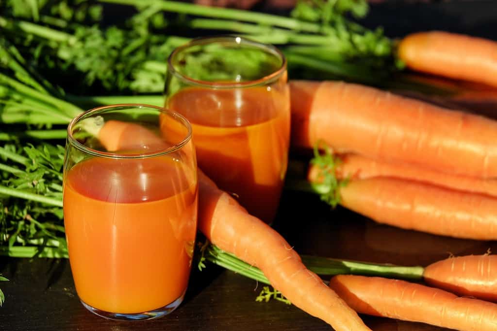 Cómo preparar un smoothie de zanahoria imagen 2 smoothie-de-zanahoria