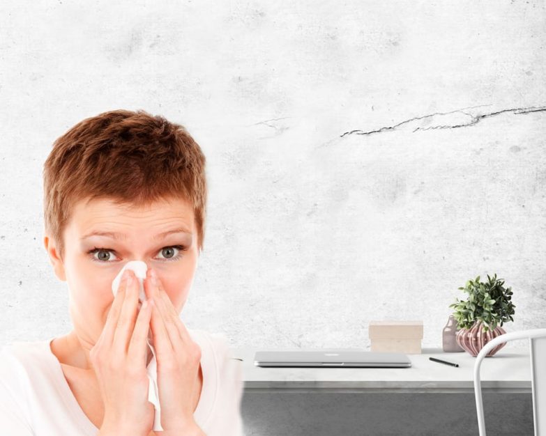 5 consejos para reducir la humedad de la casa imagen 1 Consejos para reducir la humedad de la casa