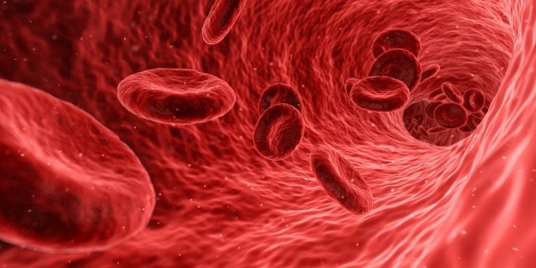 Todo lo que debes saber sobre el aceite de onagra imagen 11 circulación en la sangre