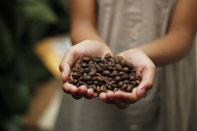 Cómo hacer café en cafetera italiana imagen 9 comprar el cafe en granos