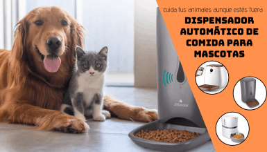 dispensador automático de comida para perros y gatos elmejor10