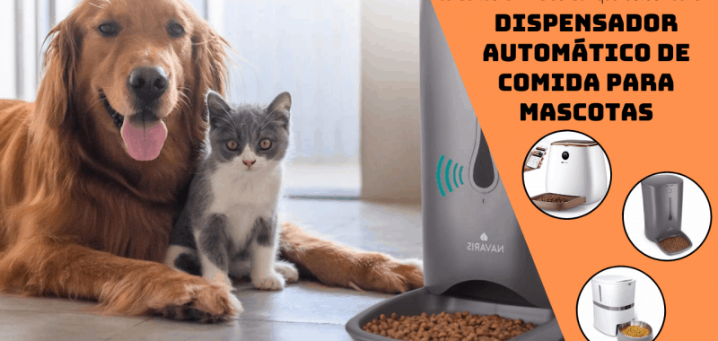 dispensador automático de comida para perros y gatos elmejor10