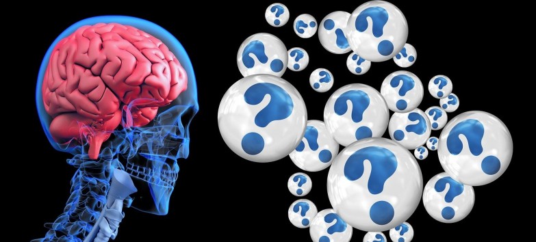 ¿Cuáles son los antioxidantes y nutrientes del café? imagen 6 el café ayuda a la actividad cerebral