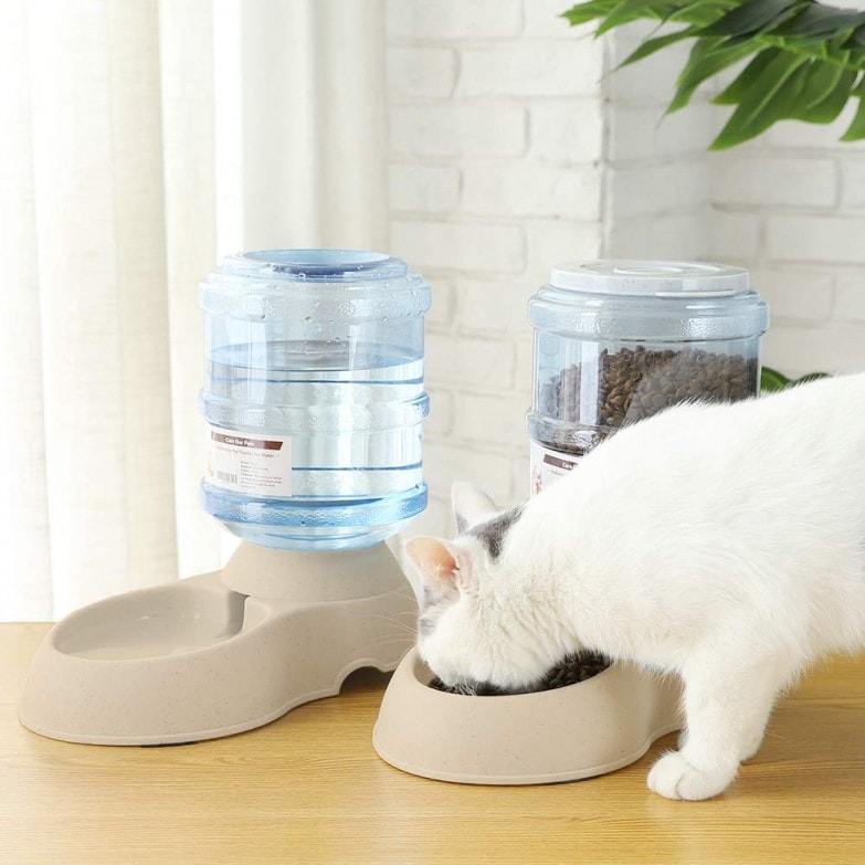 gato comiendo en un dispensador automático de comida