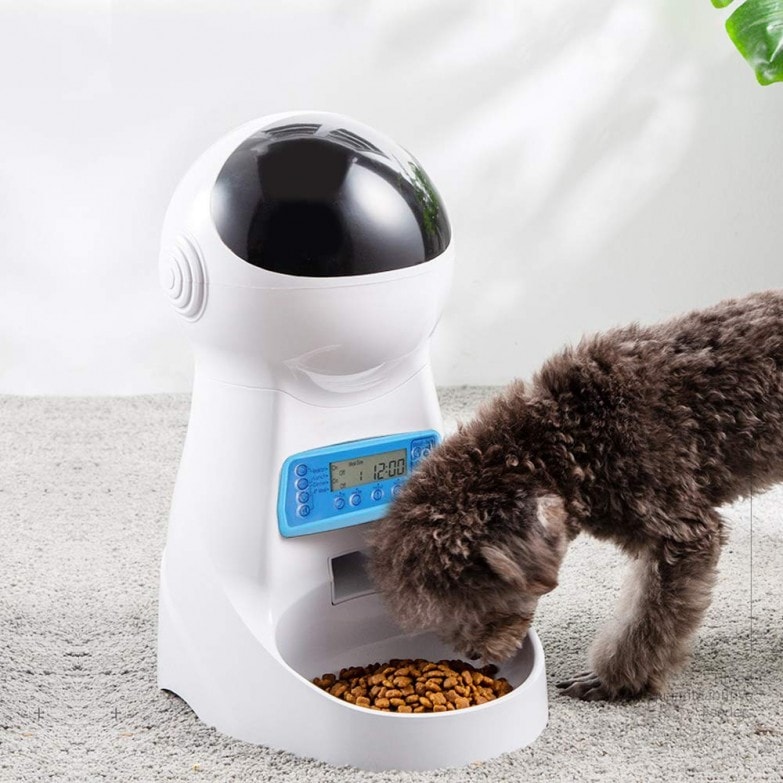 perro pequeño comiendo en un dispensador automático de comida
