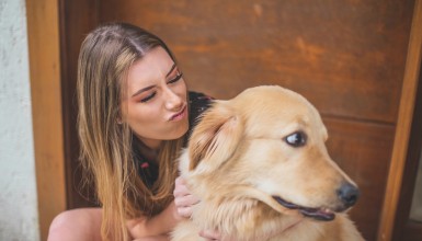 Paso a paso para eliminar el pelo muerto de mascota