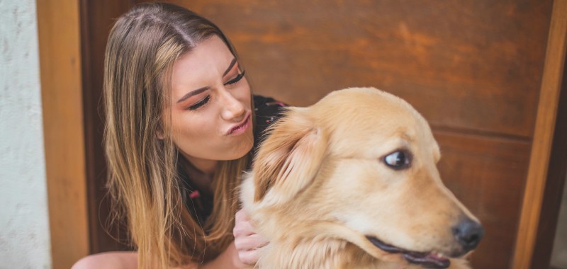 Paso a paso para eliminar el pelo muerto de mascota