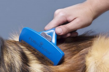 Uso correcto del Peine Furminator para eliminar el pelo muerto de mascotas