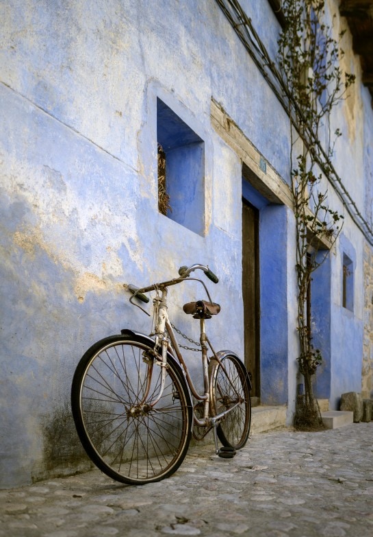 Pared del exterior contaminada con moho Mucor 