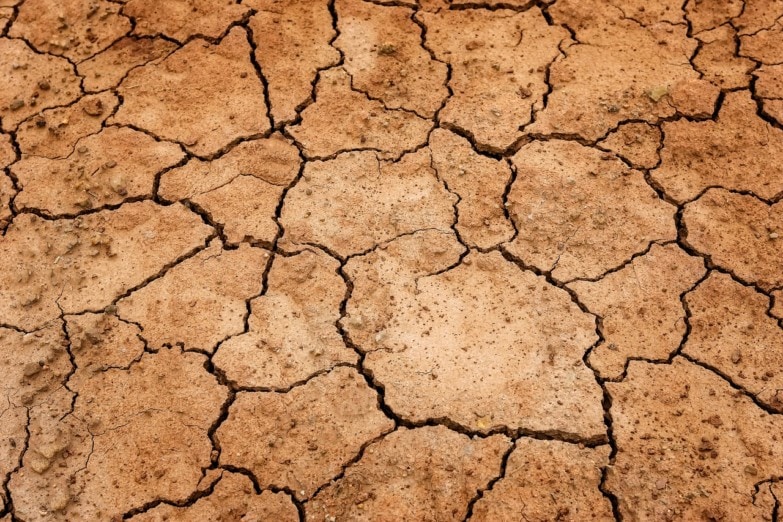 Qué es el compost y cómo se hace una composta casera imagen 11 Cada año aumenta la desertificación de los suelos.