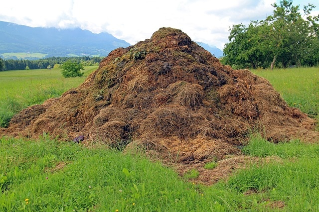 Qué es el compost y cómo se hace una composta casera imagen 10 El compost es mejor que los fertilizantes sintéticos.