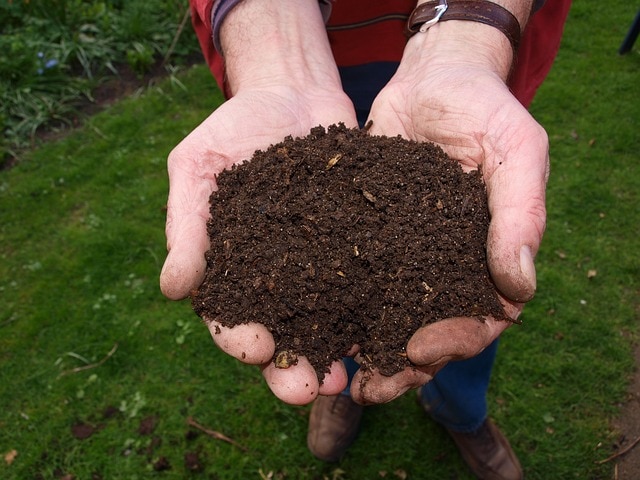 Qué es el compost y cómo se hace una composta casera imagen 9 El compost estará listo cuando la mezcla presente un color oscuro.