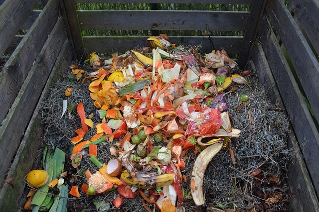 Qué es el compost y cómo se hace una composta casera imagen 2 El compost y cómo se hace para la mejora la fertilidad de suelos y cultivos.