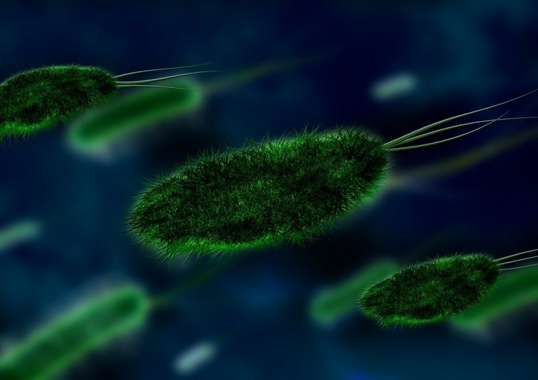 Cómo limpiar la licuadora de manera efectiva imagen 1 limpiar la licuadora para que no hayan bacterias