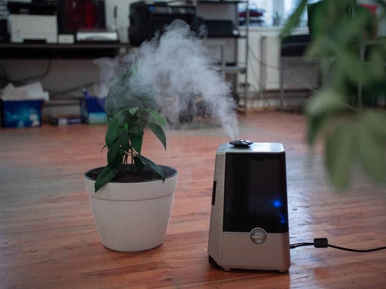 diferencia entre un humidificador y un purificador de aire que sirven para tratar el aire que respiramos en nuestras casas