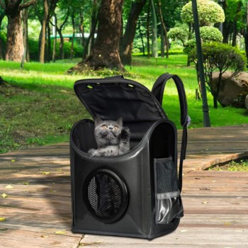 Gatito dentro de una mochila para gatos con correa