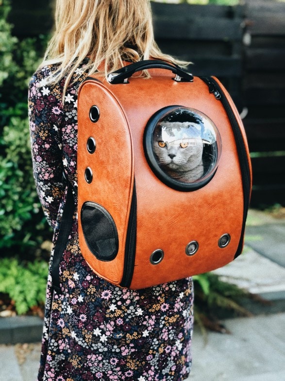 Mujer llevando a un gato en una mochila para gatos