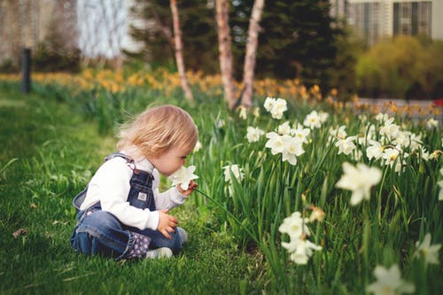 Niña oliendo una flor. 