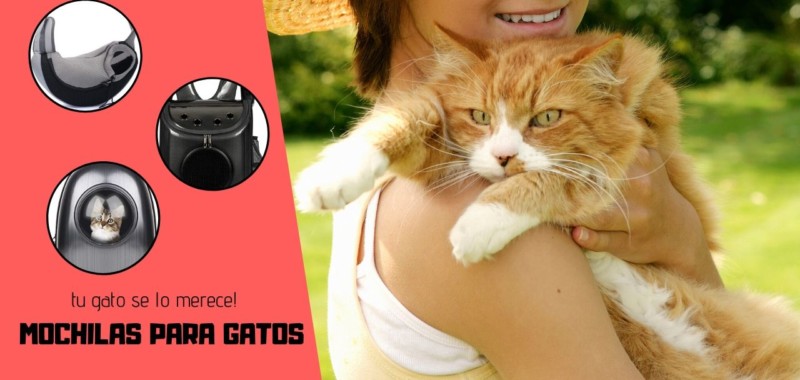 las mejores mochilas para gatos elmejor10