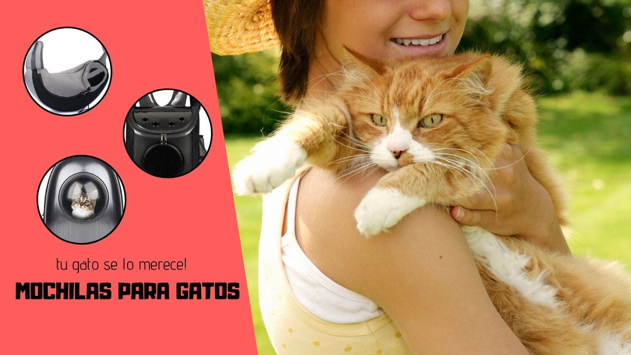 las mejores mochilas para gatos elmejor10
