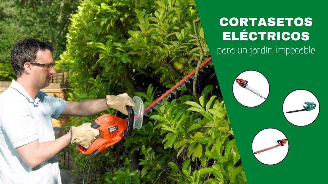 cortasetos eléctricos elmejor10