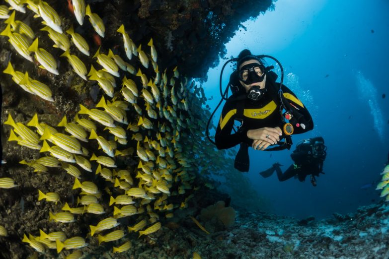 dos personas buceando con peces